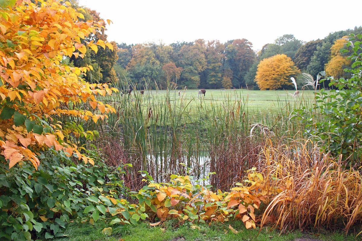 alt-"Spende Tierpark Berlin und Zoo Berlin"